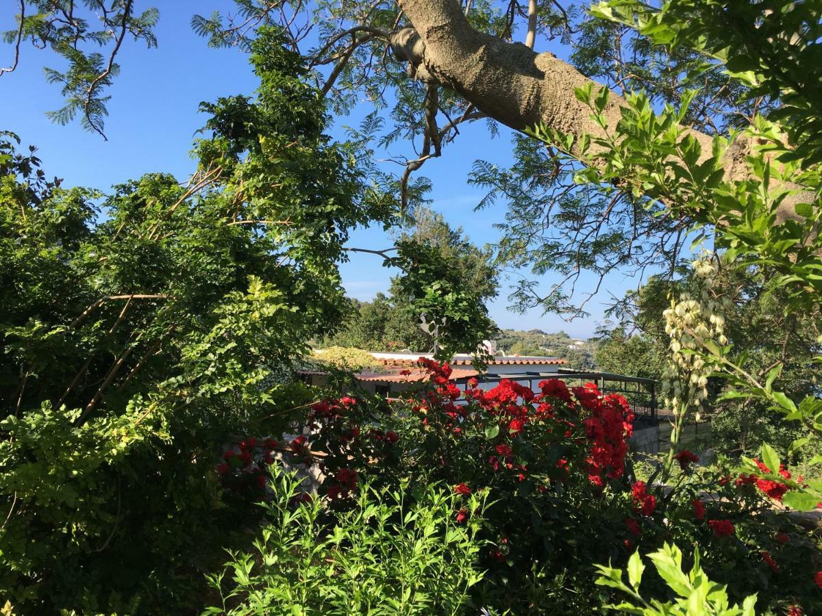 B&B Eden Frait Anacapri  Buitenkant foto